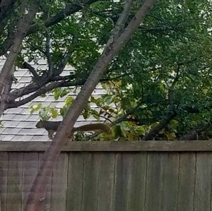 Meet your Posher, Greg